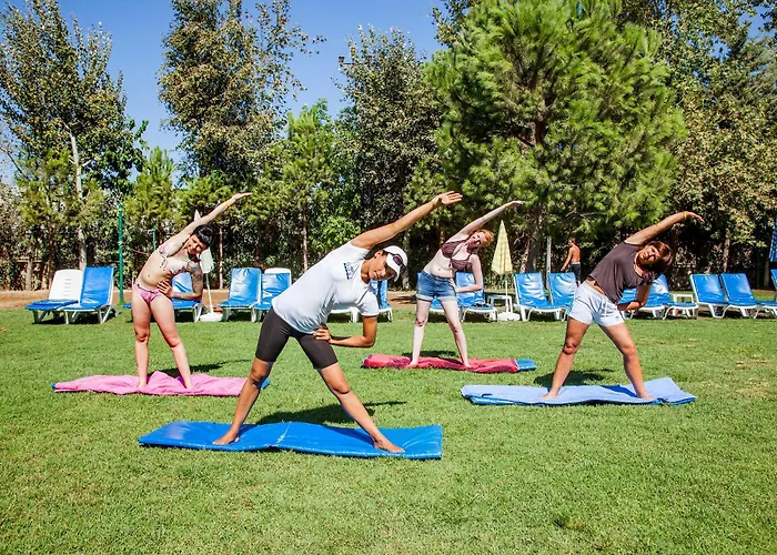 فندق دوسى 4*