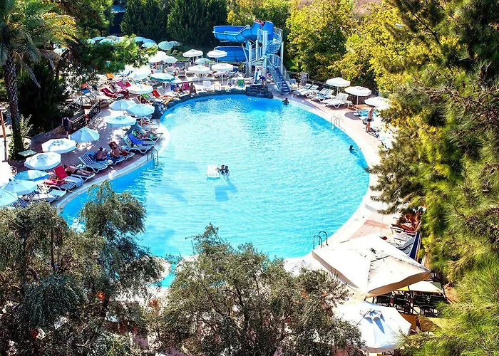 دوسى 4*